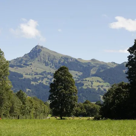 Absolute Active Roulette Kirchberg Appartamento *