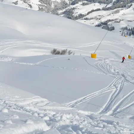 Appartement Absolute Active Roulette Kirchberg