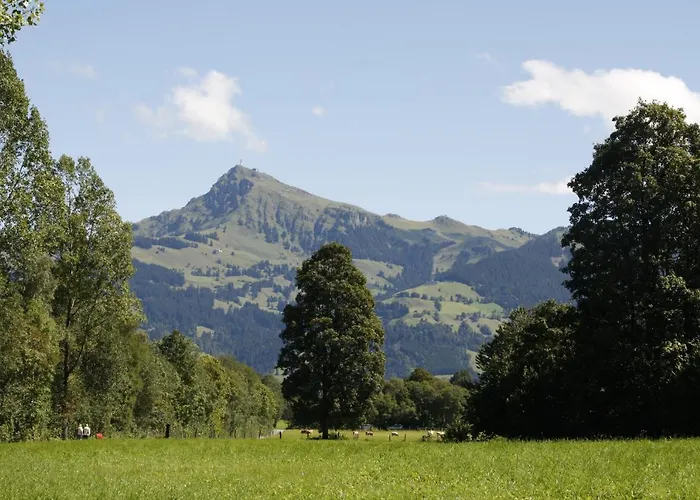 Absolute Active Roulette Apartments Kirchberg Apartment *