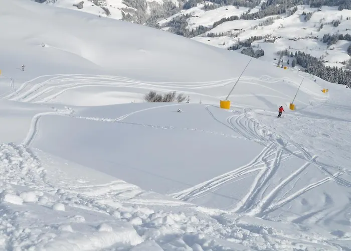 Apartment Absolute Active Roulette Apartments Kirchberg